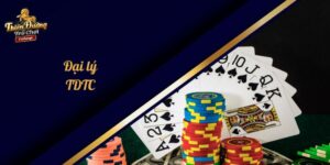 đại lý tdtc